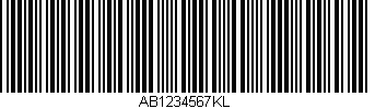 Code39Ext